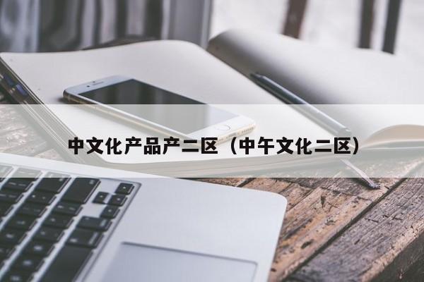 中文化产品产二区(中午文化二区)